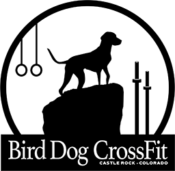Bird Dog CrossFit